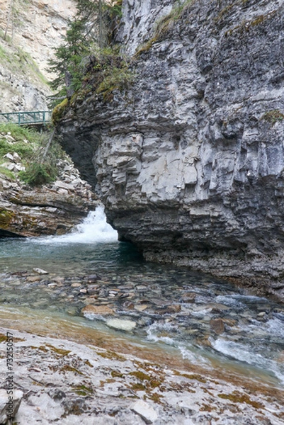 Obraz river in the rocky mountains