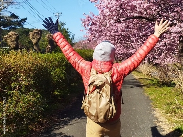 Fototapeta 春を喜ぶ