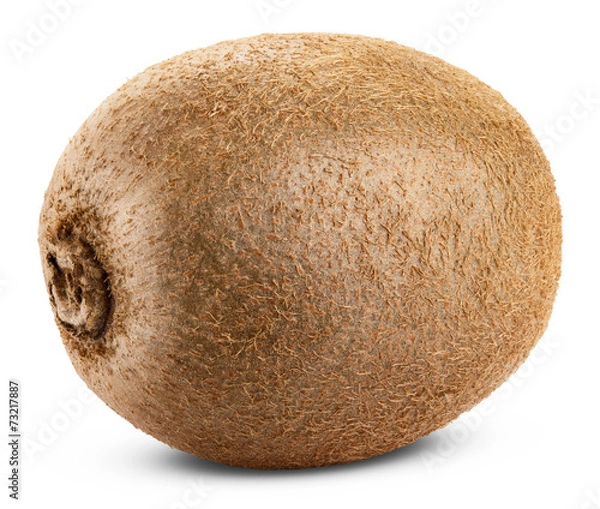 Obraz kiwi