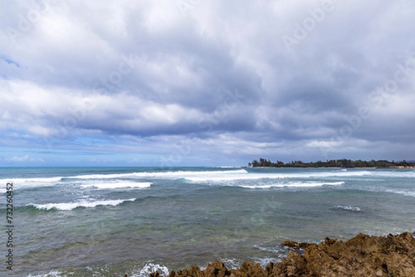 Fototapeta ノースショア・サーフィン