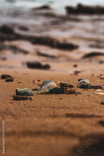 Obraz Trio of Blue Bottles on the Beach 