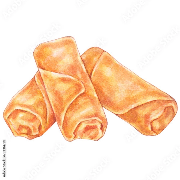 Obraz chinese spring roll watercolor style, snacks and appetizers food