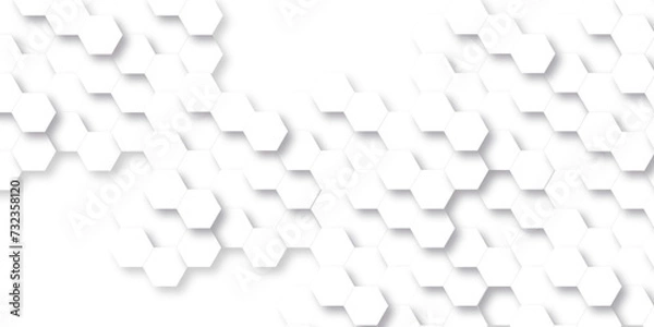 Obraz Abstract background with hexagon, modern abstract vector polygonal pattern. Futuristic abstract honeycomb technology white background. Luxury white hexagon pattern.