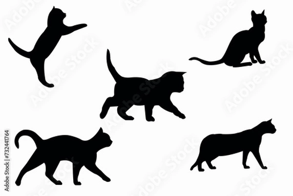Obraz Cat collection - vector silhouette