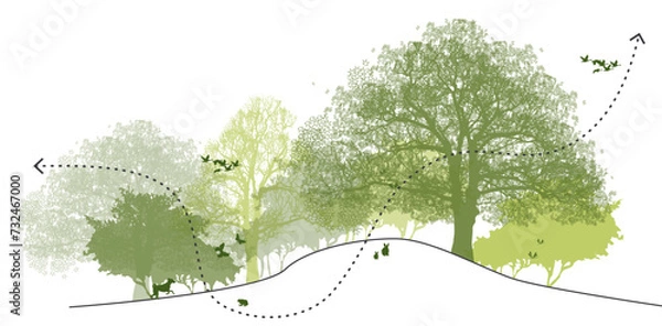 Obraz Biodiversity diagram