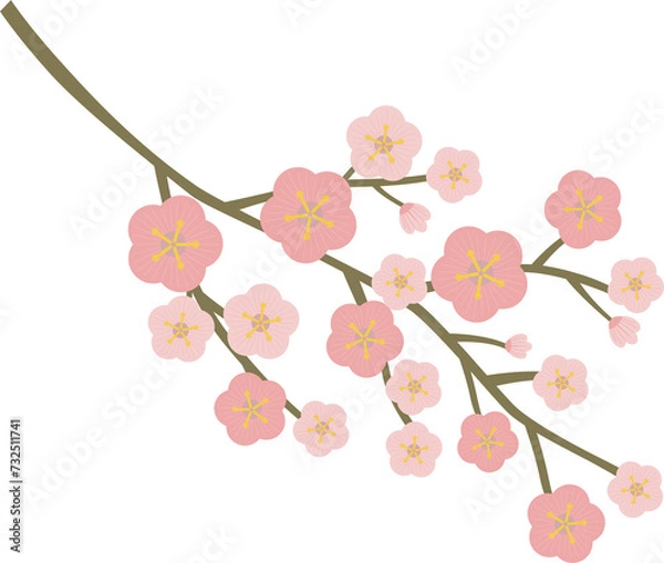 Fototapeta cherry blossom