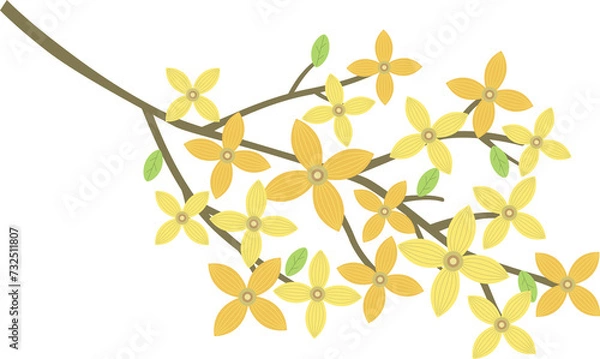 Fototapeta forsythia