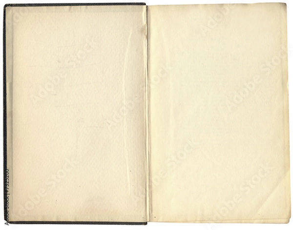 Obraz Antique book isolated on white