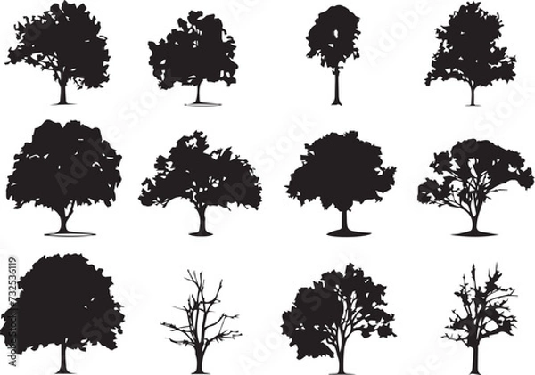 Fototapeta Set Trees. Hand drawn vector illustration	