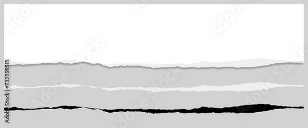 Obraz PAPIER DÉCHIRÉ