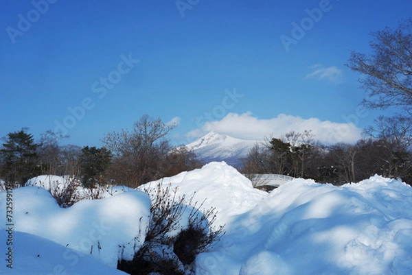 Fototapeta A view of the park in winter after it snows.