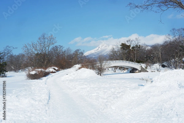 Obraz A view of the park in winter after it snows.