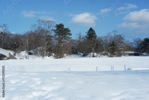 Fototapeta Garden and trees on a snowy day.