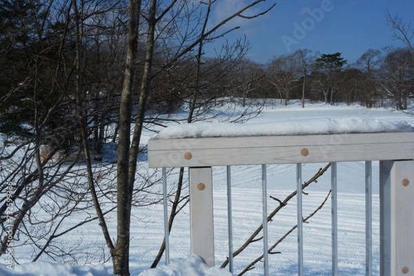 Fototapeta Bridge filled with white after falling snow.