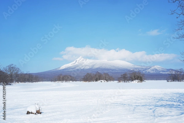 Fototapeta A view of the park in winter after it snows.