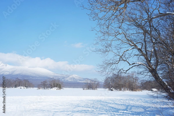 Obraz A view of the park in winter after it snows.