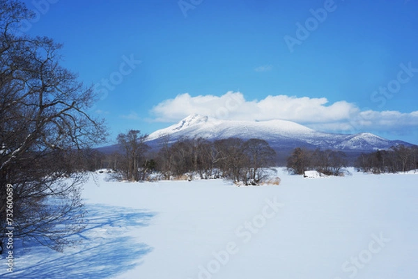 Obraz A view of the park in winter after it snows.
