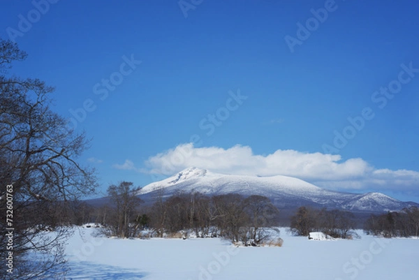 Obraz A view of the park in winter after it snows.
