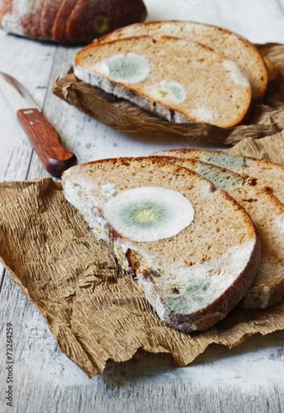 Fototapeta spoiled moldy bread
