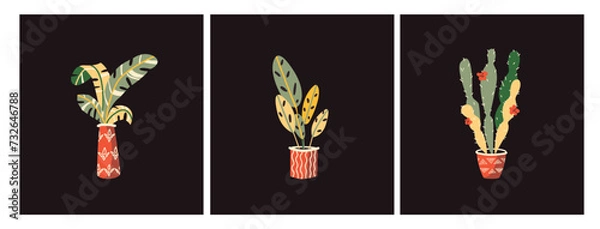 Fototapeta Vector illustration with cartoon hand drawn house plants in pots with ornaments. Set of vector isolated elements for the design of cards, advertising, banners, websites. Scandinavian decorative style.
