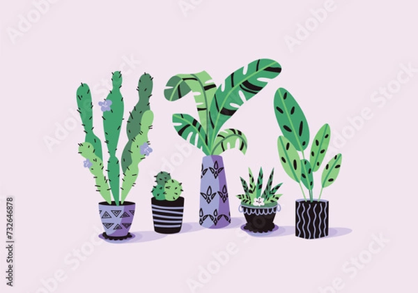 Obraz Vector set of house plants in pots. Cartoon hand drawn illustration style. Fun colors and patterns. Set of isolated elements for the design of advertising banners, books, postcards.