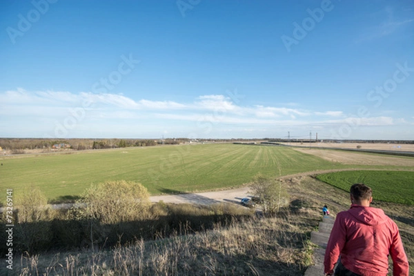 Fototapeta Summer field