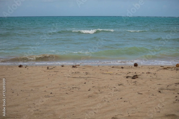 Fototapeta Day to observe the beach, sea and sky, stand in Paraia looking at the natural beauty of Alagoas and Pernambuco, a paradisiacal place with a white area