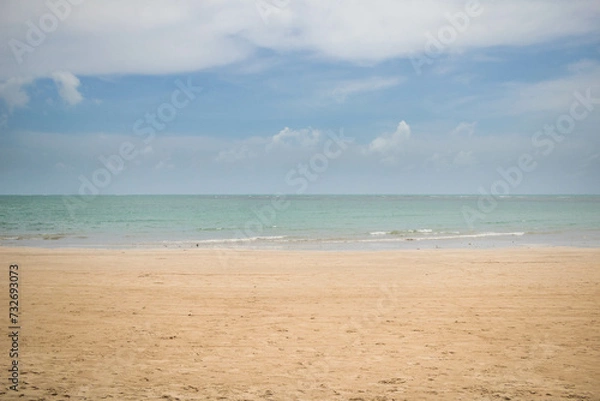 Fototapeta Day to observe the beach, sea and sky, stand in Paraia looking at the natural beauty of Alagoas and Pernambuco, a paradisiacal place with a white area