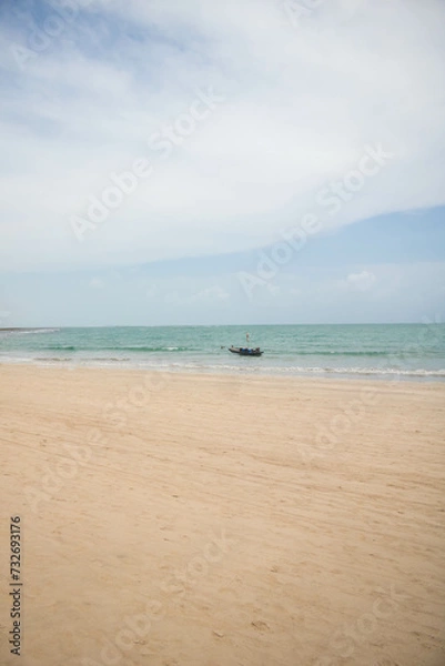 Fototapeta Day to observe the beach, sea and sky, stand in Paraia looking at the natural beauty of Alagoas and Pernambuco, a paradisiacal place with a white area