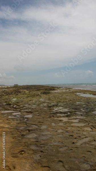 Fototapeta Day to observe the beach, sea and sky, stand in Paraia looking at the natural beauty of Alagoas and Pernambuco, a paradisiacal place with a white area