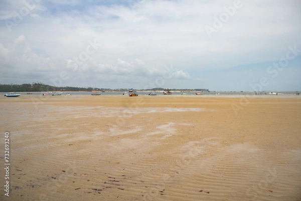 Fototapeta Day to observe the beach, sea and sky, stand in Paraia looking at the natural beauty of Alagoas and Pernambuco, a paradisiacal place with a white area