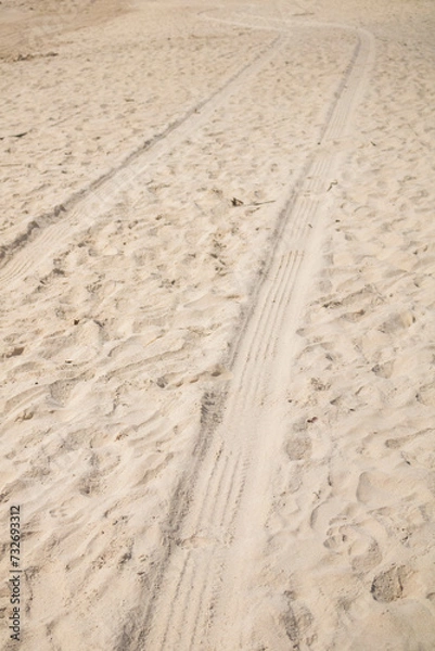 Fototapeta 
Trail of pickup truck and bug on a beach in northeastern Brazil between Alagoas and Pernambuco, beautiful images on the white sand