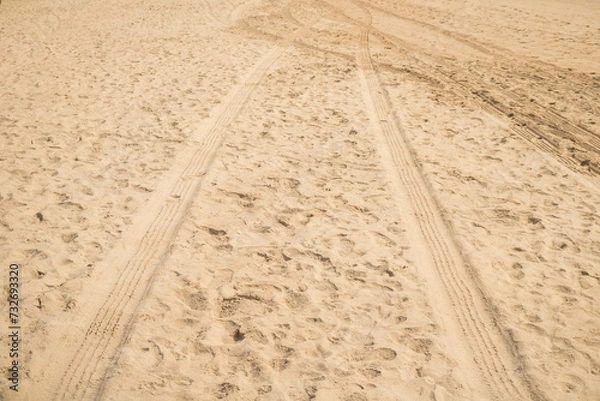 Fototapeta 
Trail of pickup truck and bug on a beach in northeastern Brazil between Alagoas and Pernambuco, beautiful images on the white sand