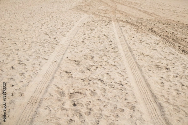 Fototapeta 
Trail of pickup truck and bug on a beach in northeastern Brazil between Alagoas and Pernambuco, beautiful images on the white sand