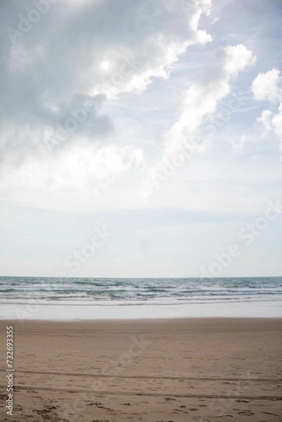 Fototapeta Day to observe the beach, sea and sky, stand in Paraia looking at the natural beauty of Alagoas and Pernambuco, a paradisiacal place with a white area