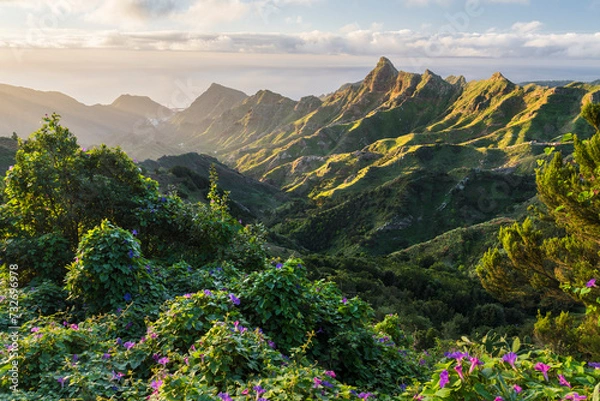 Obraz Blick in das Anaga Gebirge, Rural Park, Teneriffa, Kanarische Inseln, Spanien