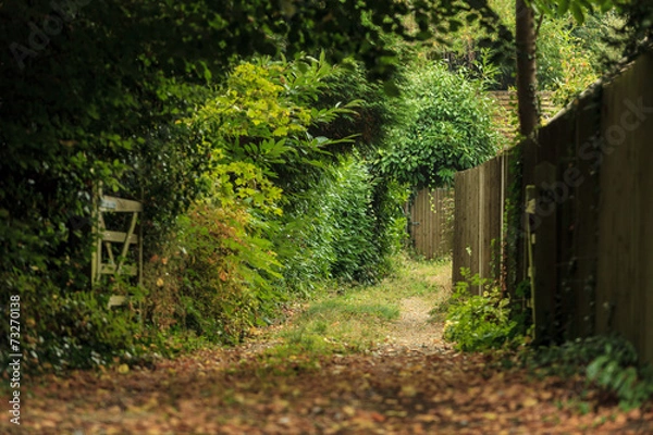 Fototapeta Nature summer landscape. Countryside view and rustic gate