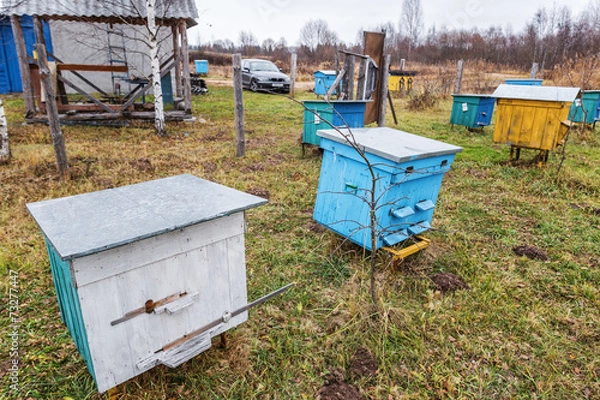 Fototapeta Apiary.