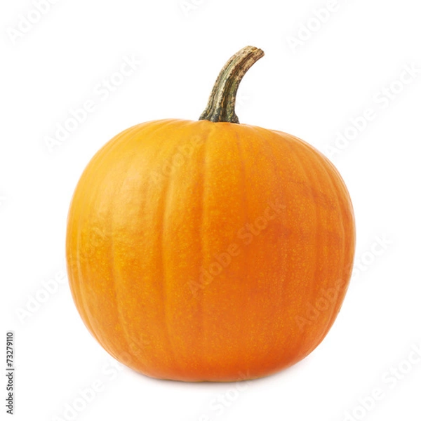 Fototapeta Orange pumpkin isolated