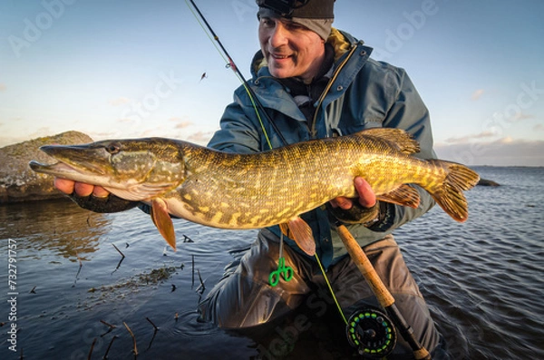 Obraz Big pike caught on fly rod in February