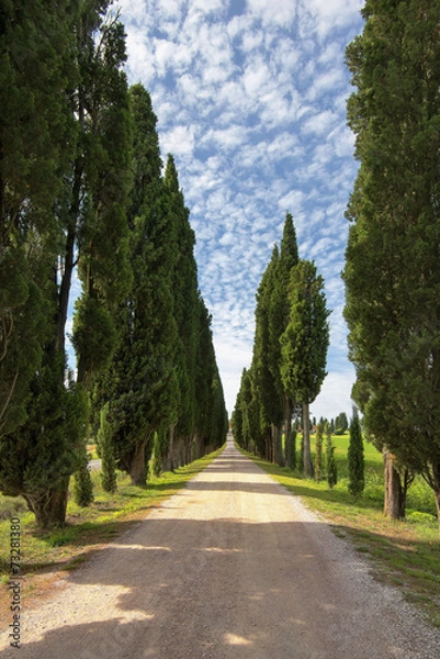 Fototapeta Toscania , Włochy,  Multipulcjano, krajobraz wiejski