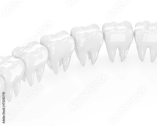 Fototapeta teeth on white