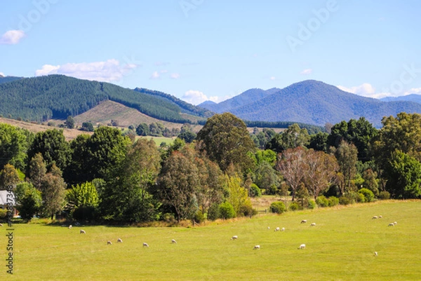 Obraz View of landscape from Bright, Victoria with Mount Buffalo in background