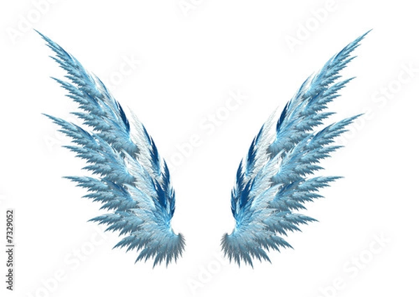 Obraz Blue angel wings white background