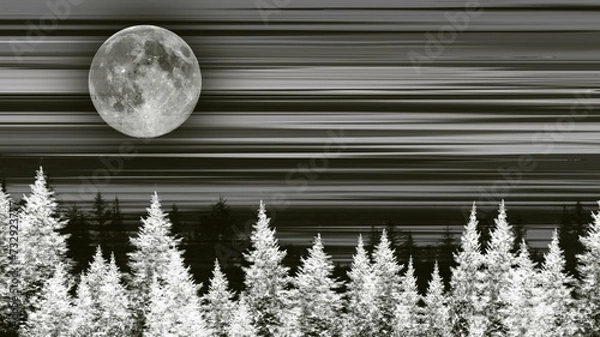 Obraz pine in the snow