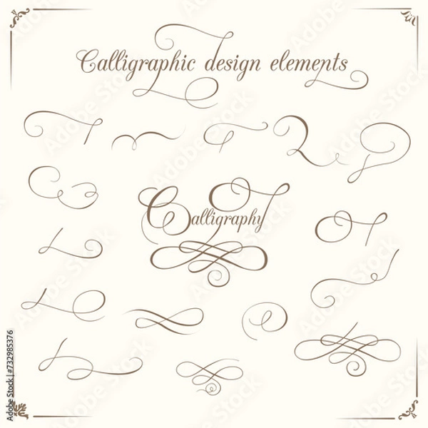 Obraz Calligraphic design elements. vector set