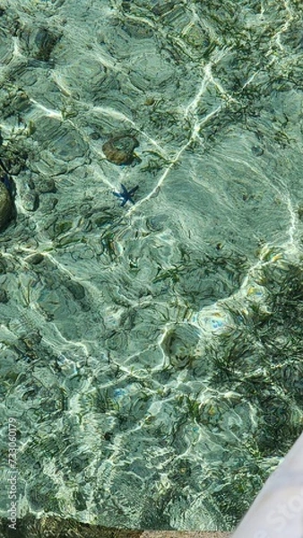 Obraz 파란불가사리