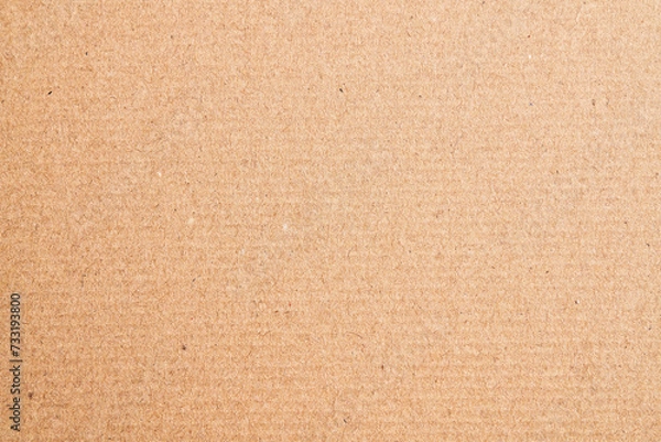 Obraz  Brown cardboard carton material texture background