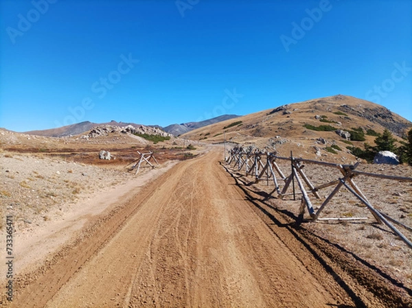 Obraz Road in desert