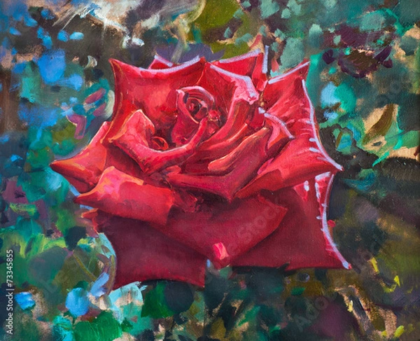 Obraz Beautiful red rose